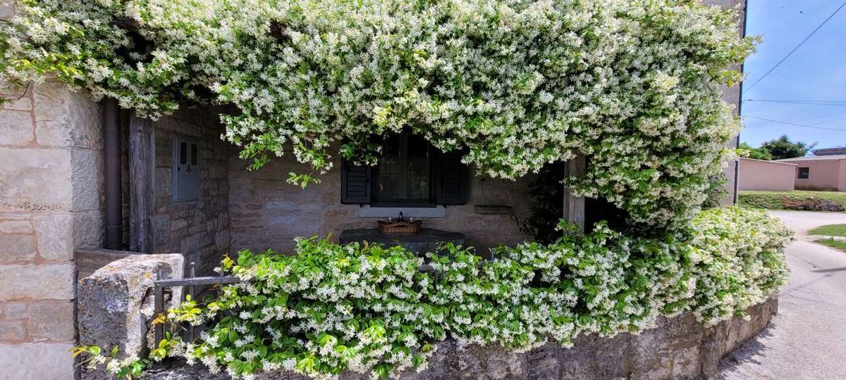 Tenuta con due case in pietra e piscina